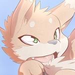 Fluffy Foxy's Avatar