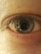 desddemona's Avatar